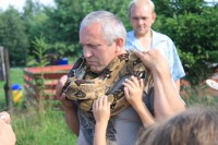 /album/fotogalerie-vypousteni-uzdravenych-postolek/img-0856-jpg/