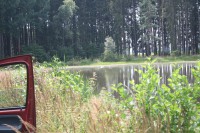 /album/vylecena-labut-cestuje-na-svobodu/img-1401-jpg/