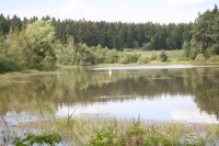 /album/vylecena-labut-cestuje-na-svobodu/img-1407-jpg/