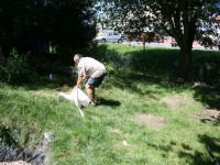 /album/vylecena-labut-cestuje-na-svobodu/opt-img-1212-jpg/