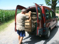 /album/vylecena-labut-cestuje-na-svobodu/opt-img-1253-jpg/