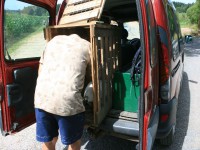 /album/vylecena-labut-cestuje-na-svobodu/opt-img-1255-jpg/