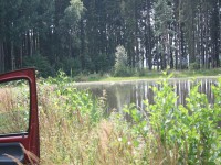 /album/vylecena-labut-cestuje-na-svobodu/opt-img-1401-jpg/