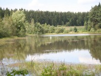 /album/vylecena-labut-cestuje-na-svobodu/opt-img-1407-jpg/